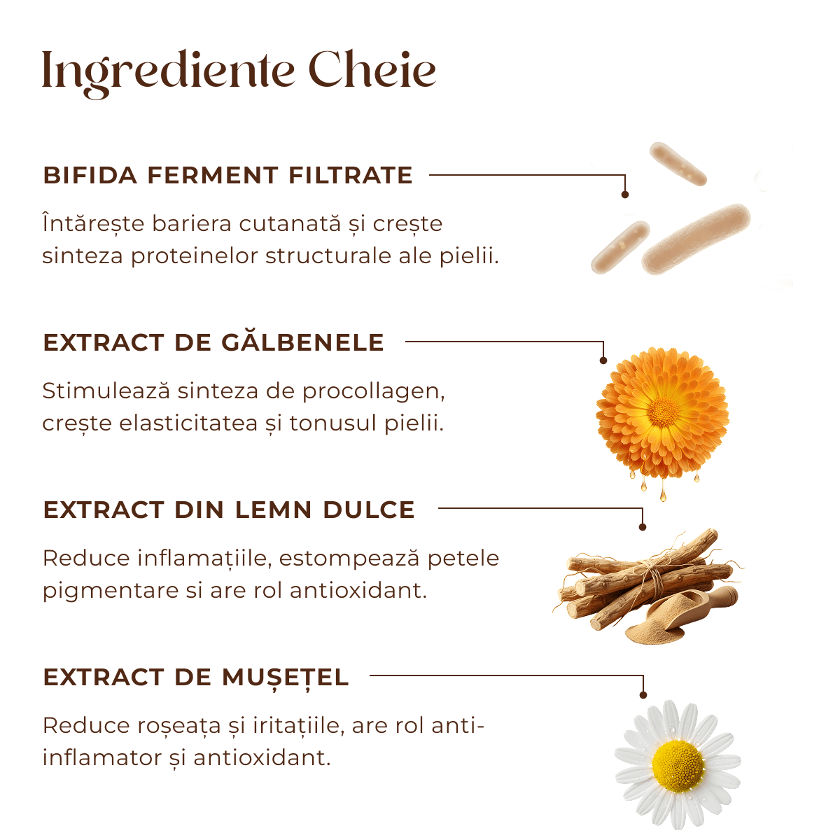 Crema antirid pentru fata Youth Elixir