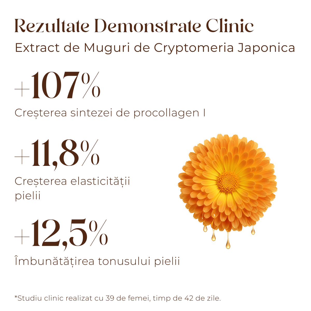 Crema antirid pentru fata Youth Elixir