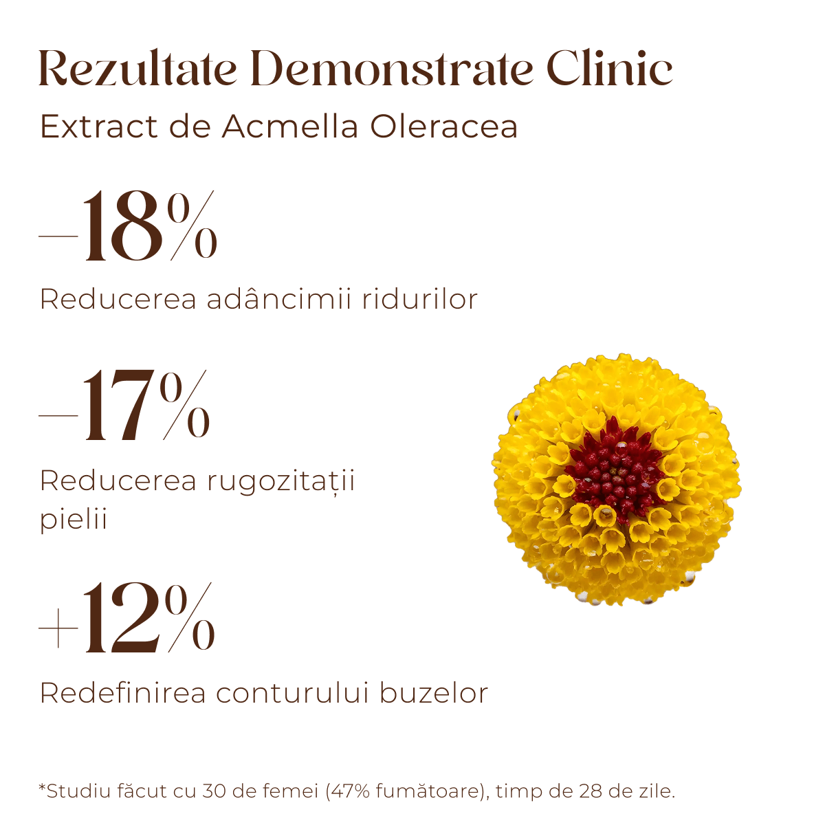 Crema antirid pentru fata Youth Elixir