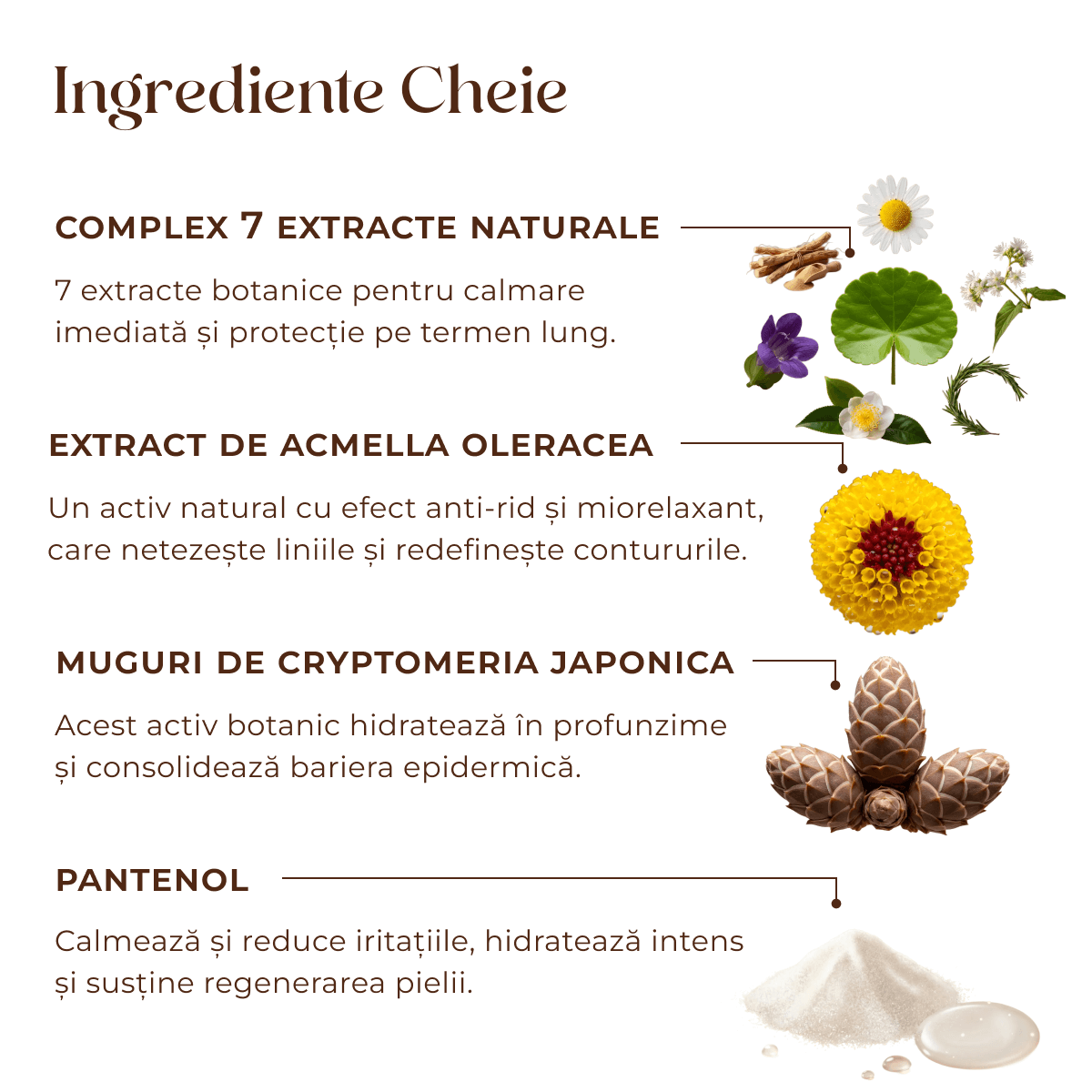 Crema antirid pentru fata Youth Elixir