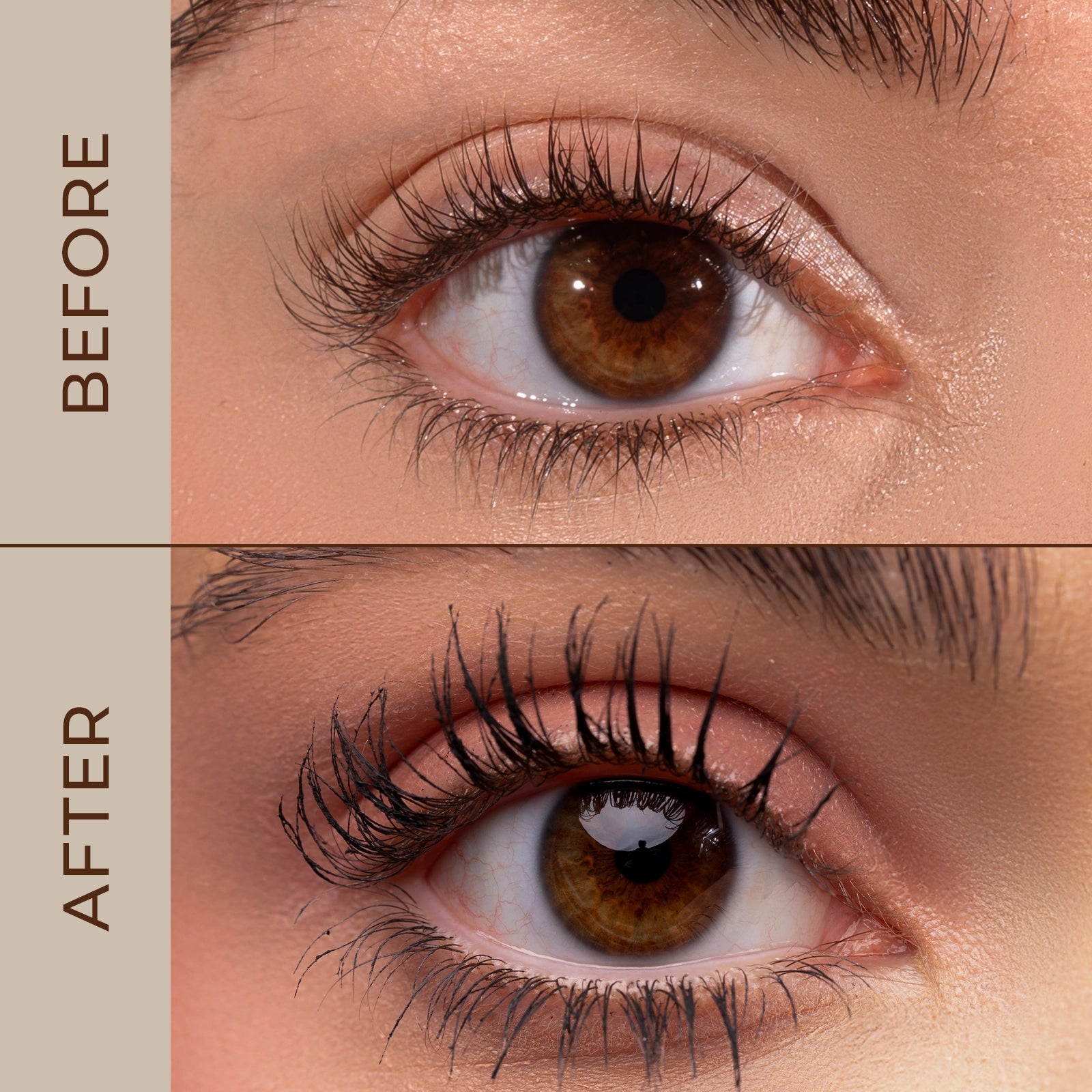 Set Rimel si Concealer